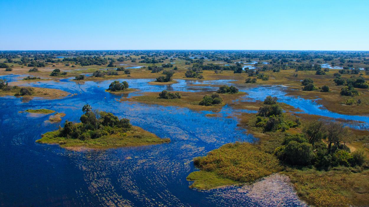 Okavango Delta Botswana