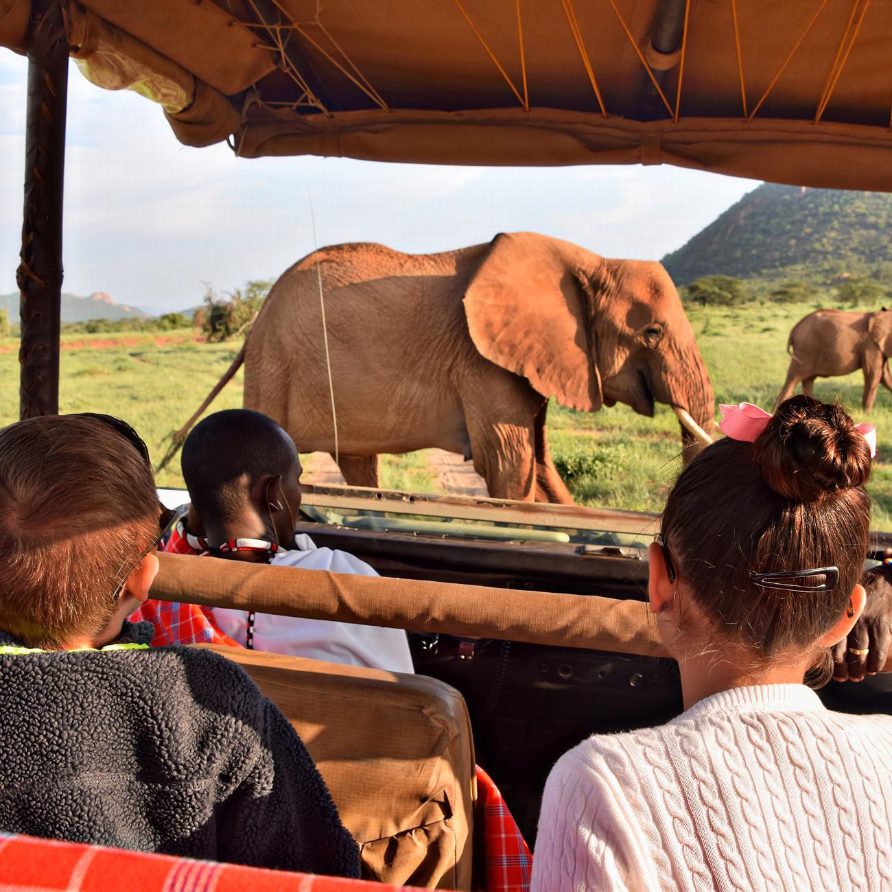 Family on safari in South Africa